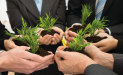 Ecosysteme1