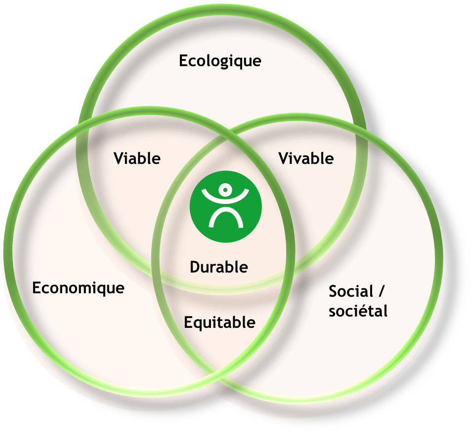 RSE logo